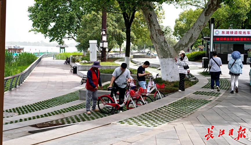 身处武汉的朋友小王遇选择困难，东湖绿道给了他新认知