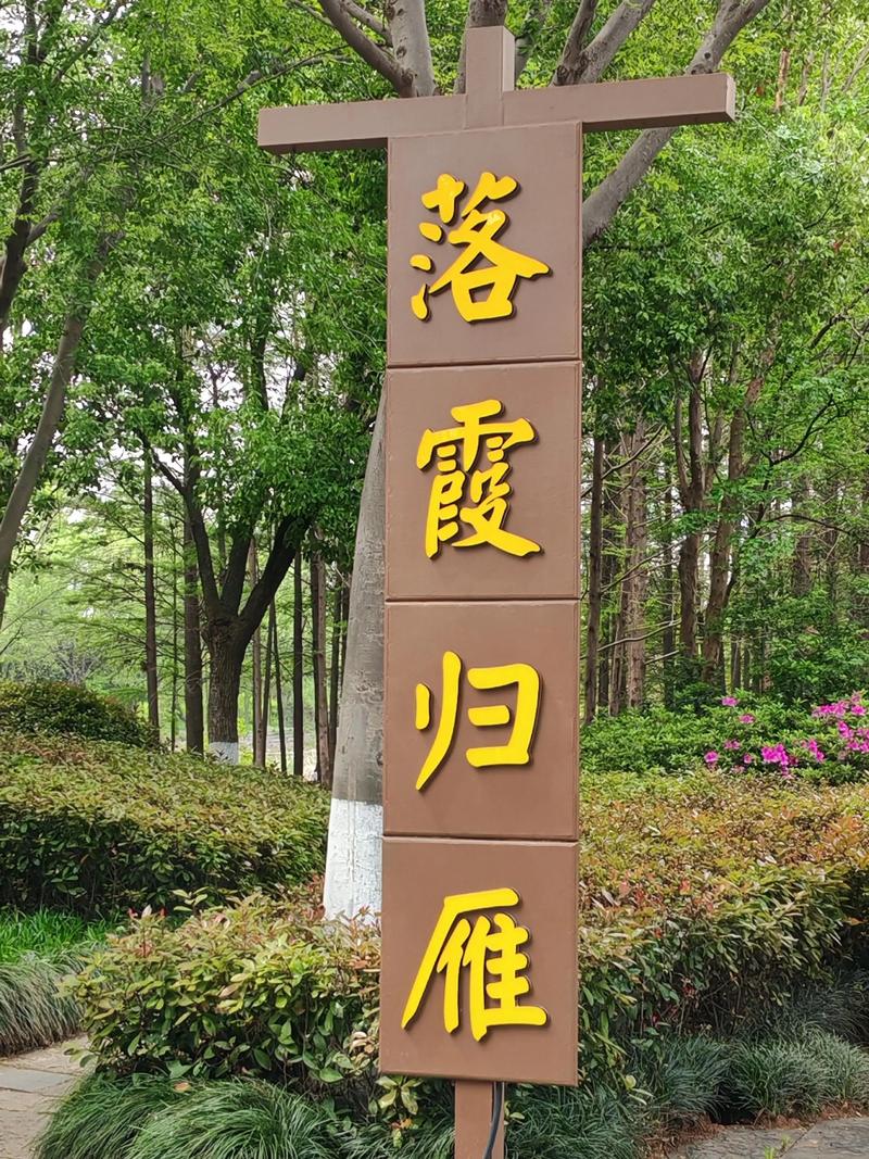 武汉东湖绿道冥想体验：发现楚风园七种鸟叫频率，找回生活温度