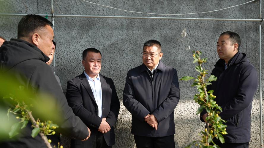 光谷商务总监李明接待遇挫，武汉五月接待考察团该咋整？